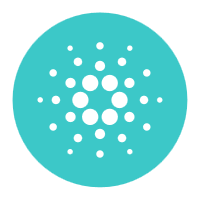 MOMENTOR 动态设计